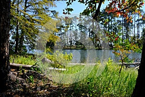 North Toledo Bend State Park in Zwolle Louisiana