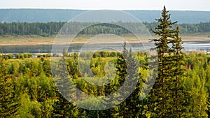 North of Vilyuy river in Yakutia in autumn, flows into spruce tundra on a wild overgrown.