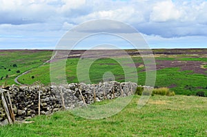 North York moors Yorkshire England