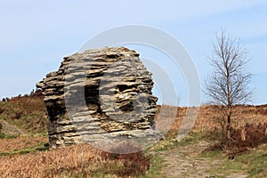 North Yorkshire moors