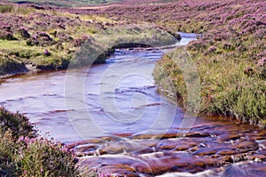 North Yorkshire Moors