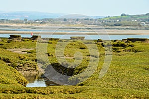 Northam Burrows mud flats in Devon make an unusual pattern during low tide