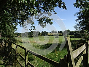 Northamptonshire countryside in the summer