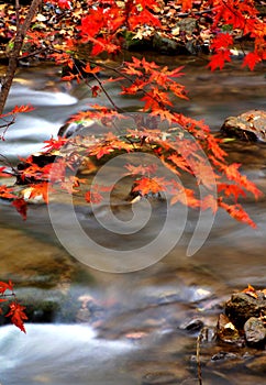 Northeast China nobody Valley beautiful autumn scenery