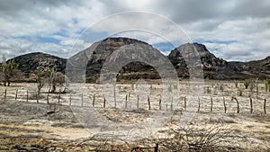 Northeastern sertÃ£o with mountains in the background