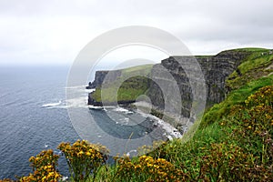 Northerly view of the Cliffs of Moher on the coast of Ireland