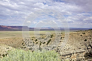 Northern Arizona Desert Landscape