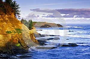 Northern Califormia coast