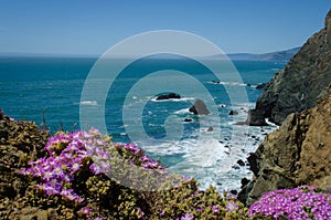 Northern California Coast photo