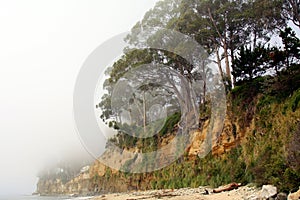 Northern California coastline photo