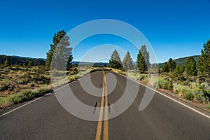 Northern California Wilderness Road Way