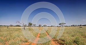 Northern Cape Landscape