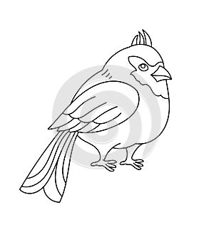 Northern cardinal bird. Editable outline stroke. Vector line illustration.