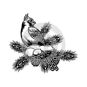 Northern Cardinal bird - Winter Bird, Wildlife Stencils for Christmas Bird Decor, winter decor, Clipart Vector