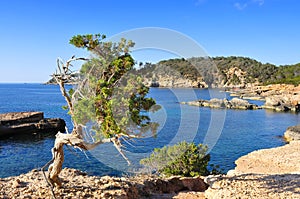 Northern coast of Ibiza Island, Spain photo