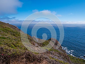 Northern coastal scrub along ocean near Muir Beach, Golden Gate Recreation Area Califorina