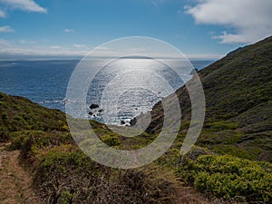 Northern coastal scrub along rocky coast near Muir Beach, Golden Gate Recreation Area Califorina