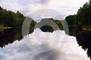 Northern Forest Reflected in Water