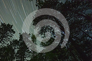 Northern forest star trail