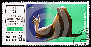 Northern Fur Seal (Callorhinus ursinus), 1st International Theriological Congress (ITC) serie, circa 1974