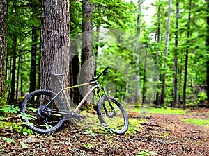 Northern Idaho Bicycle Mountain Biking