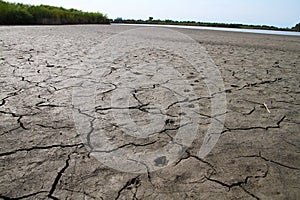 Northern Illinois Lake bed in DROUGHT conditions with Wildlife Tracks