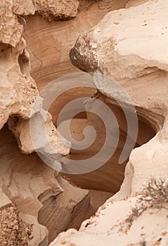 Northern Inland Fuerteventura, barranco de los enamorados photo