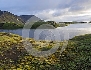 Northern landscape with green grass mossed creek banks in Hornstrandir Iceland, snow patched hills and cliffs, cloudy sky photo