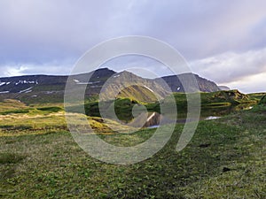 Northern landscape with green grass mossed creek banks in Hornstrandir Iceland, snow patched hills and cliffs, cloudy photo