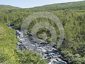 Northern landscape in Swedish Lapland with blue rapid stream of creek, green hills and birch tree forest at photo