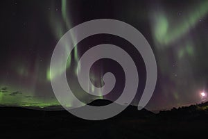 Northern Light above Lofotens hills