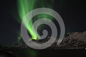 Northern Light in Tromso