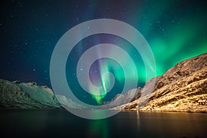 Northern lights above fjords