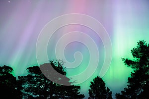 Northern lights. Abstract natural background in north of Sweden.