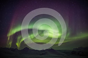 Northern Lights across the Arctic sky - Spitsbergen