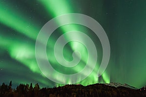 Northern Lights photo