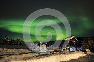 Northern lights in Anderdalen National Park