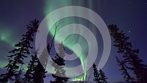 Northern lights in Arctic Canada