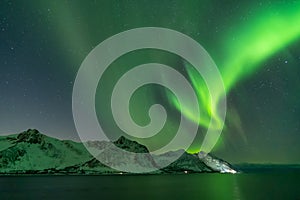 Northern lights, Aurora Borealis, with the Husfjellet mountain, Tungeneset, Senja, Norway