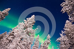 Northern lights, Aurora Borealis in Lapland Finland