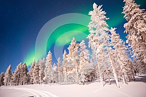 Northern lights, Aurora Borealis in Lapland Finland