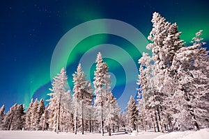 Northern lights, Aurora Borealis in Lapland Finland