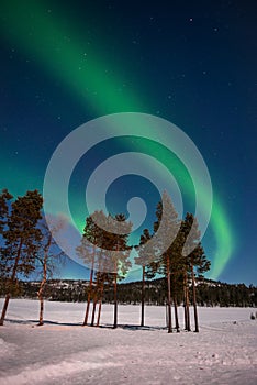 Northern lights, Aurora Borealis in Lapland Finland