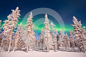 Northern lights, Aurora Borealis in Lapland Finland photo