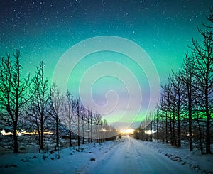 Northern lights Aurora Borealis over frozen trees and snow covered road in winter of Iceland