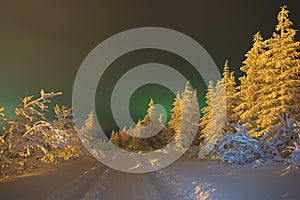 Northern Lights - Aurora borealis over snow-covered forest. Beautiful picture of massive multicoloured green vibrant Aurora Boreal