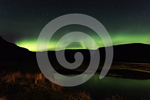 Northern lights, aurora borealis, Skogar photo