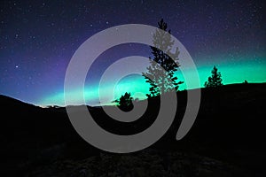 Northern lights/aurora borealis and starry sky from outdoors in the middle of the forest.