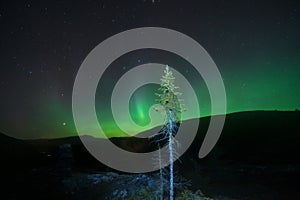 Northern lights/aurora borealis and starry sky from outdoors in the middle of the forest.