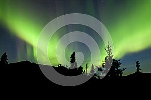 Northern Lights Aurora borealis Yukon spruce taiga